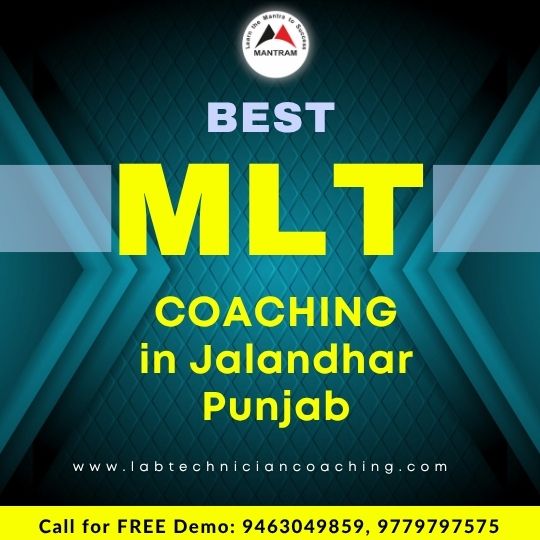 Best MLT Coaching in Jalandhar Punjab