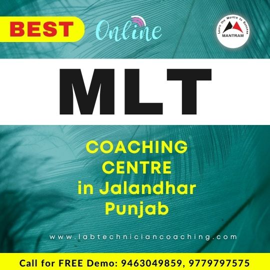 Best Online MLT Coaching Centre in Jalandhar Punjab