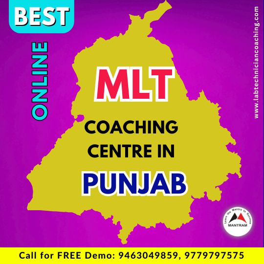 Best Online MLT Coaching Centre in Punjab