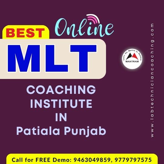 Best Online MLT Coaching Institute in Patiala Punjab
