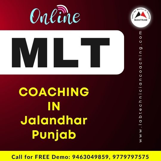 Online MLT Coaching in Jalandhar Punjab
